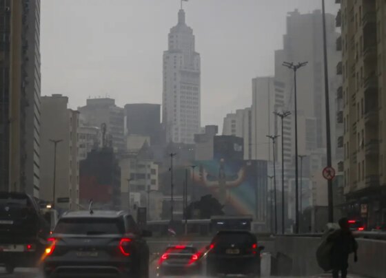 Primeiros dias de janeiro devem ser de chuvas fortes em São Paulo 35