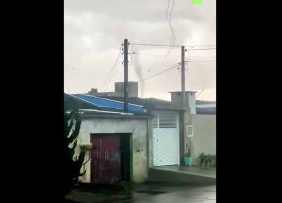 Ícone de Busca