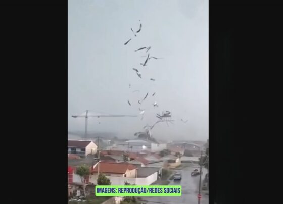 Ícone de Busca