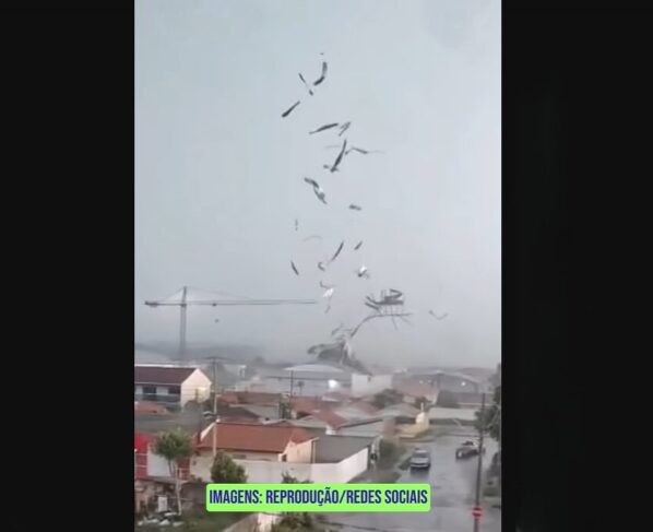 Ícone de Busca