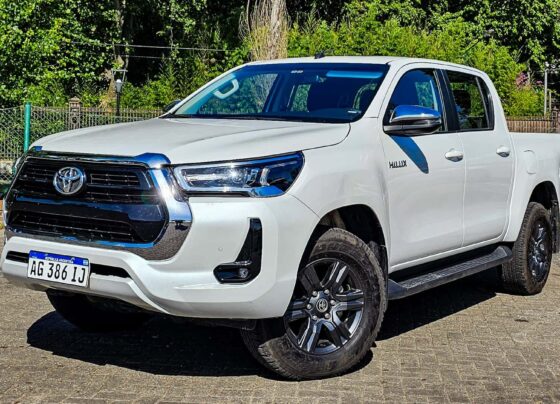 Vendas de automóveis na Argentina em 2025: análise completa 22