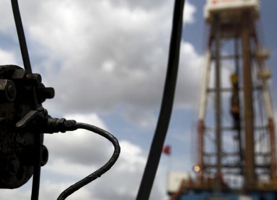 Venezuela responde por menos de 1% do mercado mundial de petróleo 19