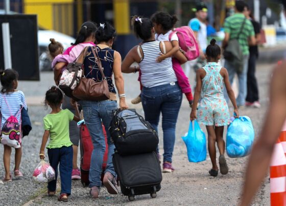 Ícone de Busca