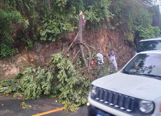 Ciclone Extratropical surpreende Santa Isabel e Prefeitura mobiliza força-tarefa para minimizar impactos 3