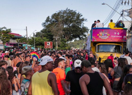 Prefeitura de Guararema estabelece regras e normas de segurança para o Carnaval 2026 7