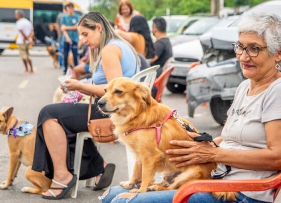 Câmara aprova criação do Conselho Municipal de Bem-Estar Animal (COMBEA) 1