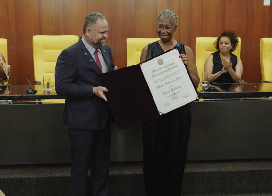Câmara homenageia assistente social Maria Palmira da Silva com o Título de Cidadã Paulistana 7