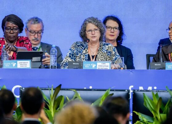 Campo Grande sedia conferência da ONU sobre espécies migratórias 15