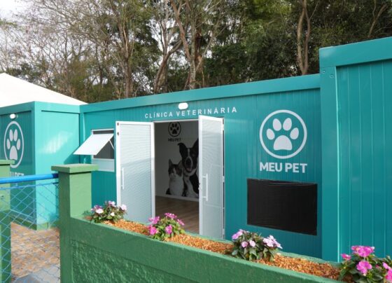 Governo de SP amplia rede de atendimento veterinário com novos pet contêineres no interior 3