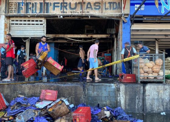 Incêndio na Ceasa: fogo por ter sido causado por curto-circuito 1