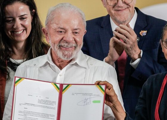 Governo anuncia a criação e ampliação de unidades de conservação federal 7
