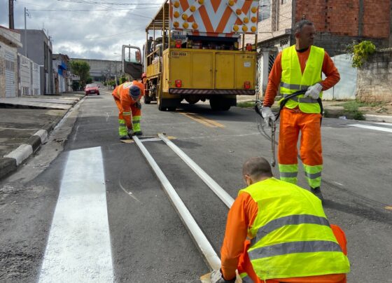 Mobilidade Urbana de Itaquá instala 165 placas, 157 gradis e realiza mais de 21 mil m² de sinalização viária 7
