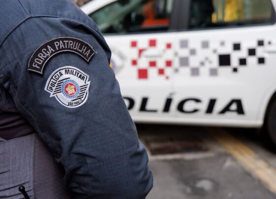 PM apreende mais de 200 kg de cocaína em fundo falso de caminhonete na zona norte de São Paulo 11
