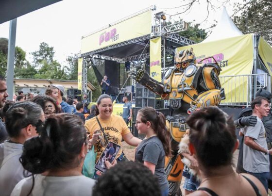 2º Guararema Pop Fest será realizado em março com dois dias de programação 5