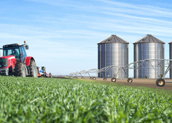 Cadeia bilionária da agroindústria move economia de Chapecó 1