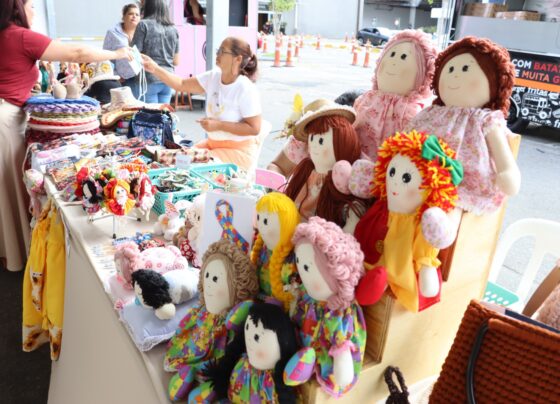 Suzano promove ‘Festa do Artesão’ entre esta quinta-feira e sábado 1