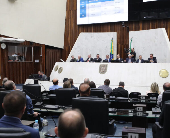 Seminário ocorreu na manhã desta segunda-feira (13), no Plenário da Casa. Seminário ocorreu na manhã desta segunda-feira (13), no Plenário da Casa (Créditos: Valdir Amaral/Alep)