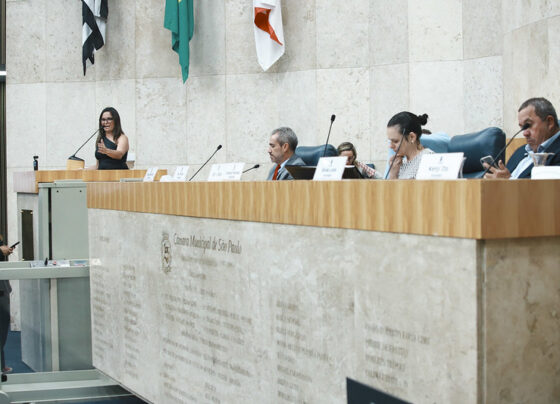 Foto de plenário da Câmara Municipal de São Paulo. Pessoas sentadas em mesa alta, mulher fala ao púlpito. Ao fundo, parede clara com bandeiras do Brasil, São Paulo e cidade. Ambiente bem iluminado e formal.