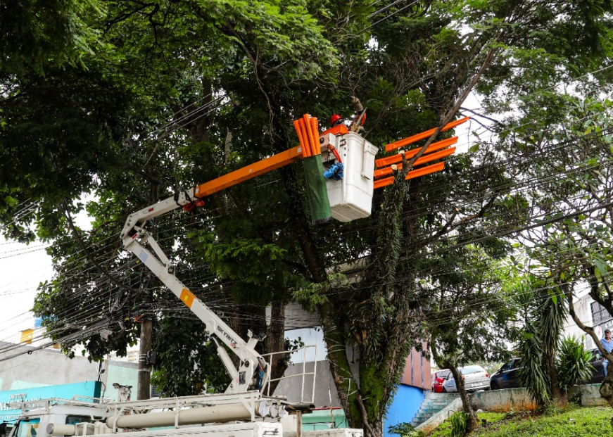 Secretaria de Serviços Urbanos realiza Dia D de podas de árvores na Avenida Brasil em parceria com a EDP 1