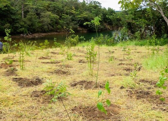 Serrinha do Paranoá (DF) vira parque para proteger ecossistemas 11