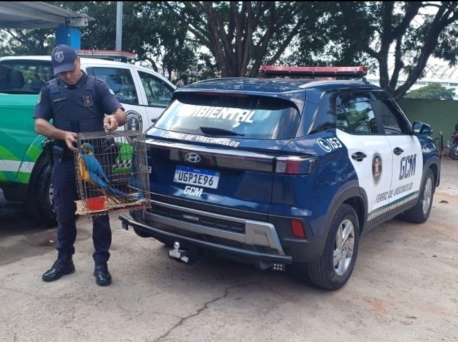 GCM de Ferraz resgata arara-canindé encontrada em via pública 11