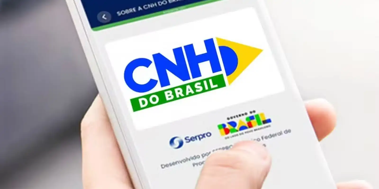 Câmara aprova MP que prevê renovação automática de CNH 7