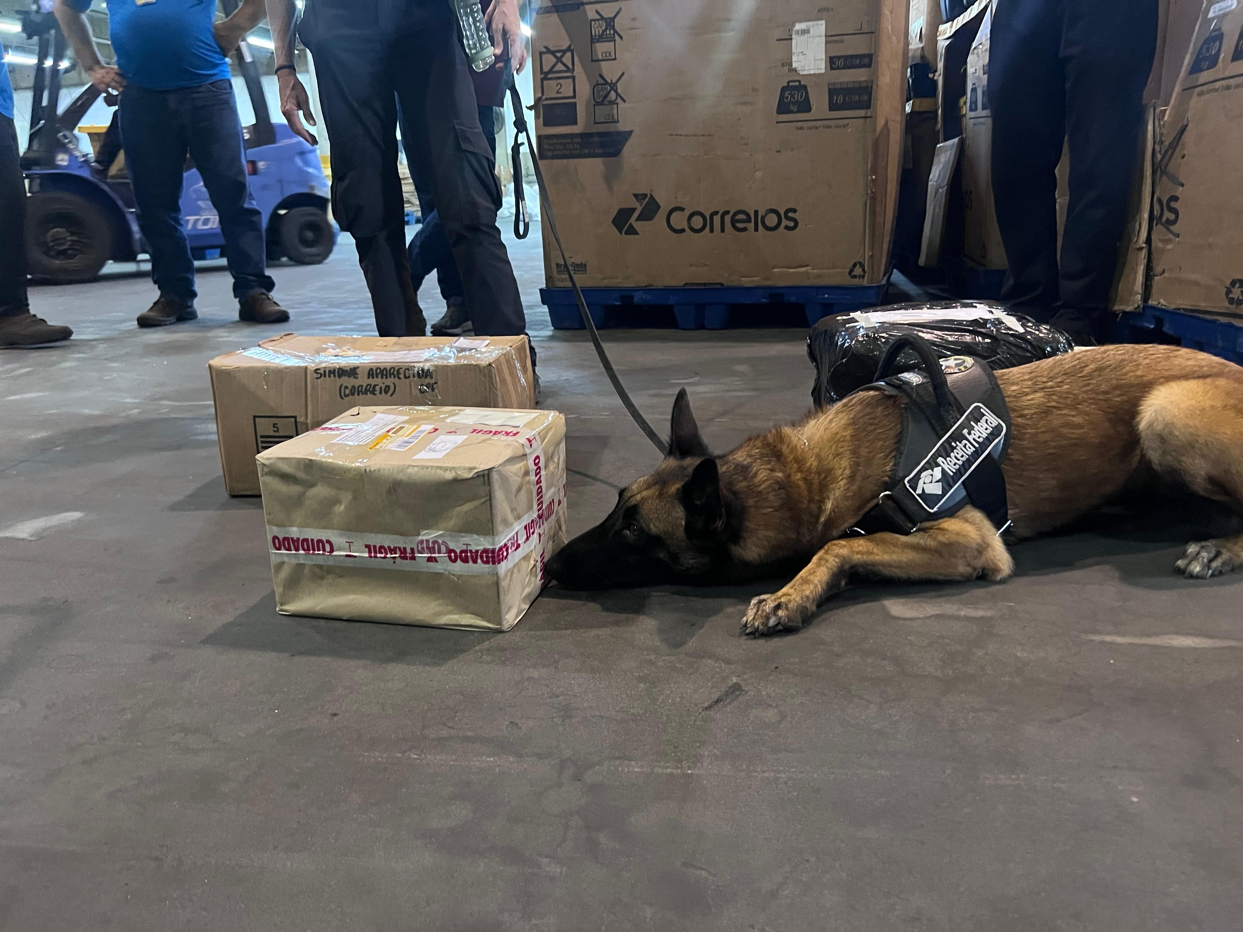 Operação da Receita no Rio apreende mais de R$ 1 milhão em drogas que seriam enviadas pelos Correios 14