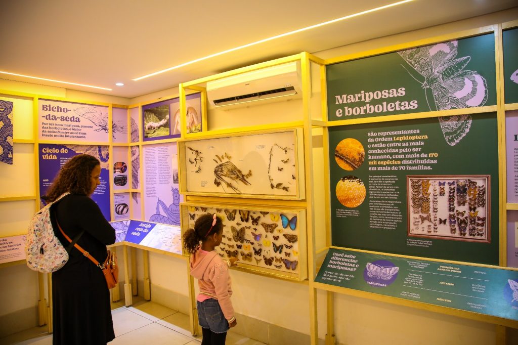Planeta Inseto: Museu do Instituto Biológico de SP transforma ciência em experiência educativa 5