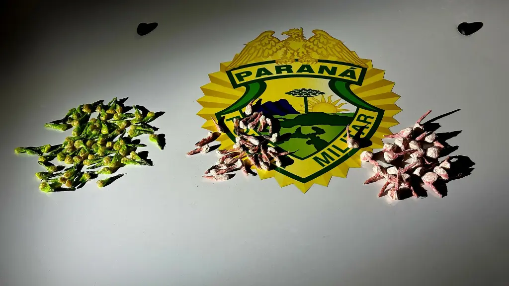 Ao realizar uma varredura no local onde os suspeitos estavam os militares encontraram 62 pedras de crack e 48 porções de cocaína