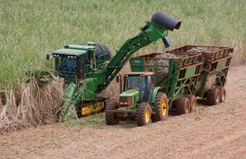 Superávit do agro paulista registra US$ 6,45 bilhões 3