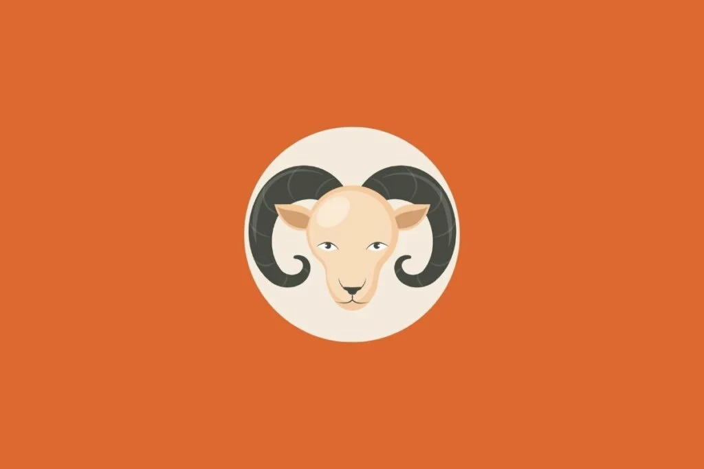 Tarot do dia: previsão para os 12 signos em 24/05/2026 – CartaCapital 42