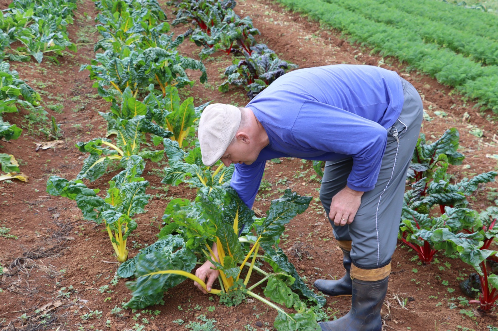 Salesópolis recebe capacitação em boas práticas agrícolas neste mês 3