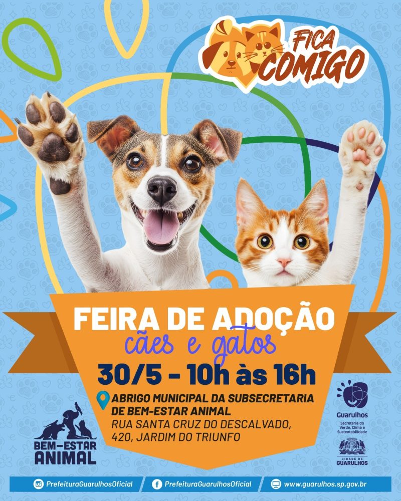 Prefeitura de Guarulhos realiza evento de adoção de cães e gatos neste sábado em Bonsucesso 9