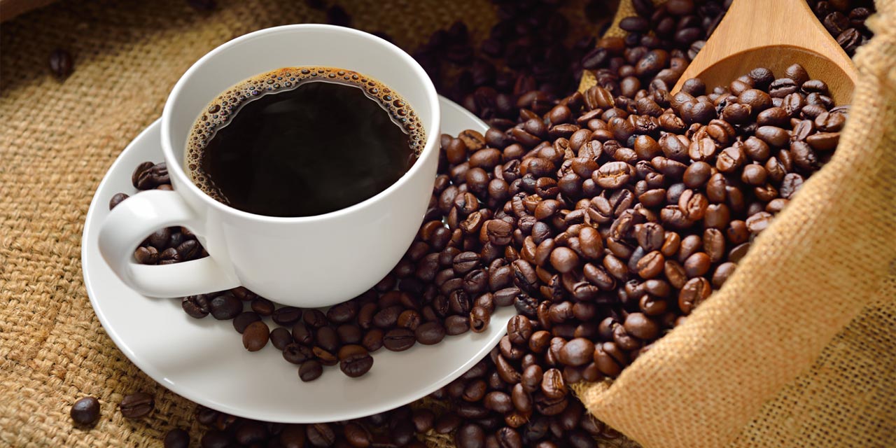 Dia Nacional do Café destaca tradição e paixão brasileira 3