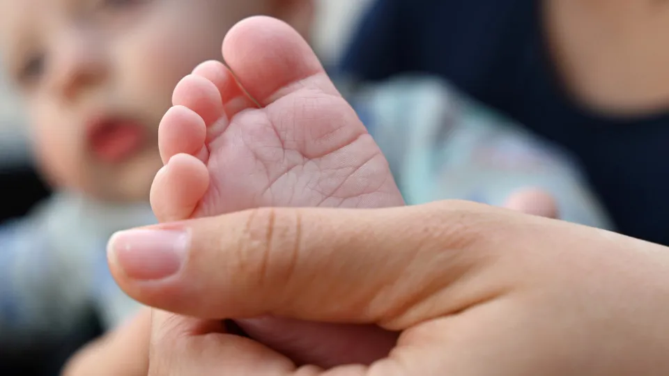 Por que as pessoas não querem mais ter filhos? 5
