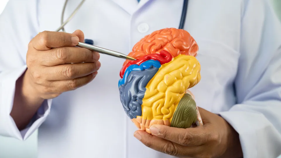 Neurologistas alertam: 5 hábitos comuns que afetam a saúde do cérebro 1