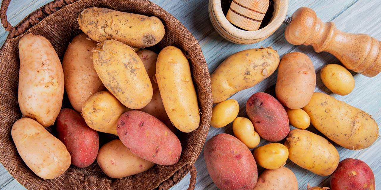 Tipos de batatas: um mundo de opções na sua cozinha 9