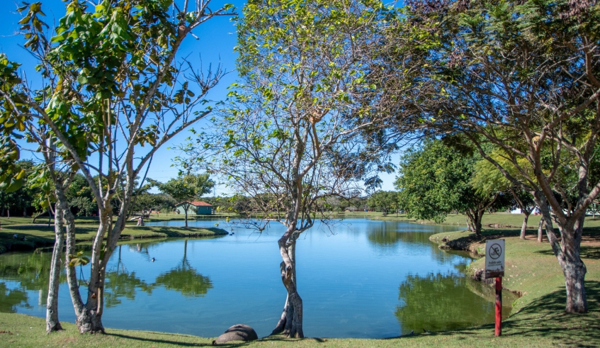 Referência da Imigração Japonesa em Mogi, Parque Centenário será revitalizado e ganhará novos espaços 7
