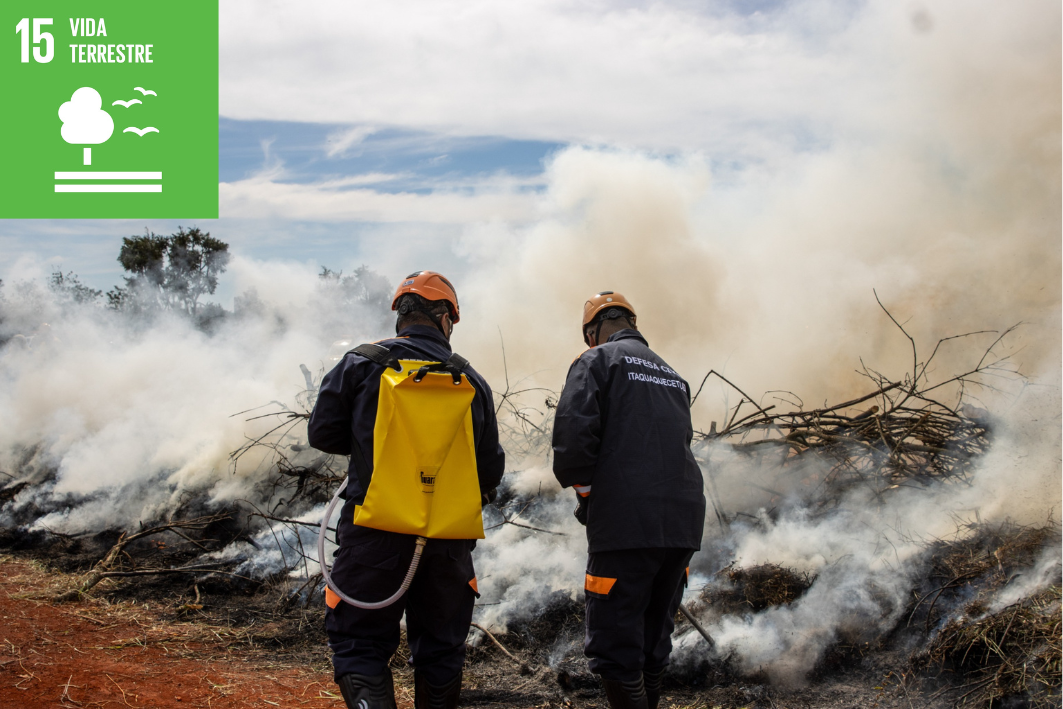 Defesa Civil de Itaquá dá início à Operação Estiagem para combate a queimadas em áreas de vegetação 7