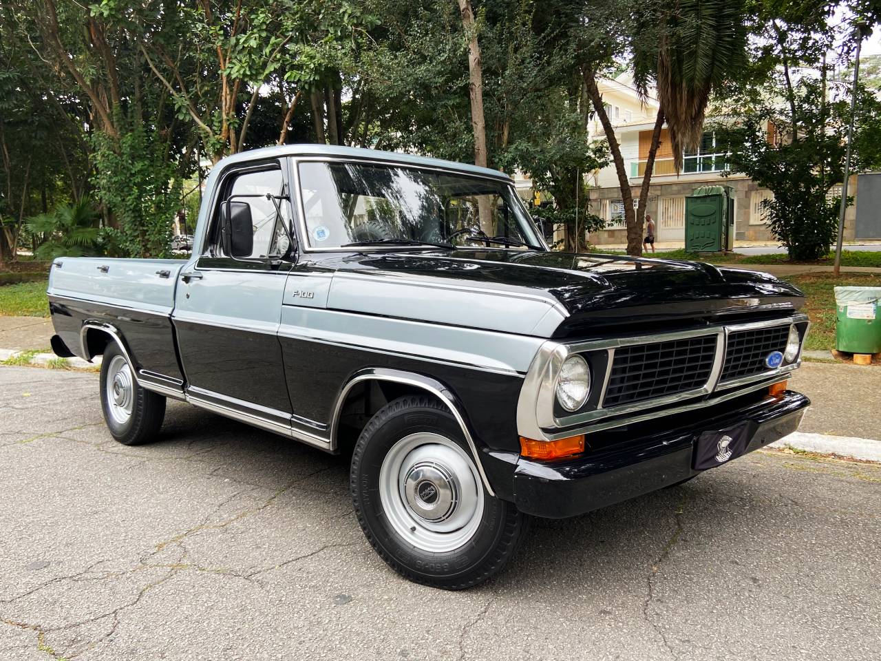 Ford F100