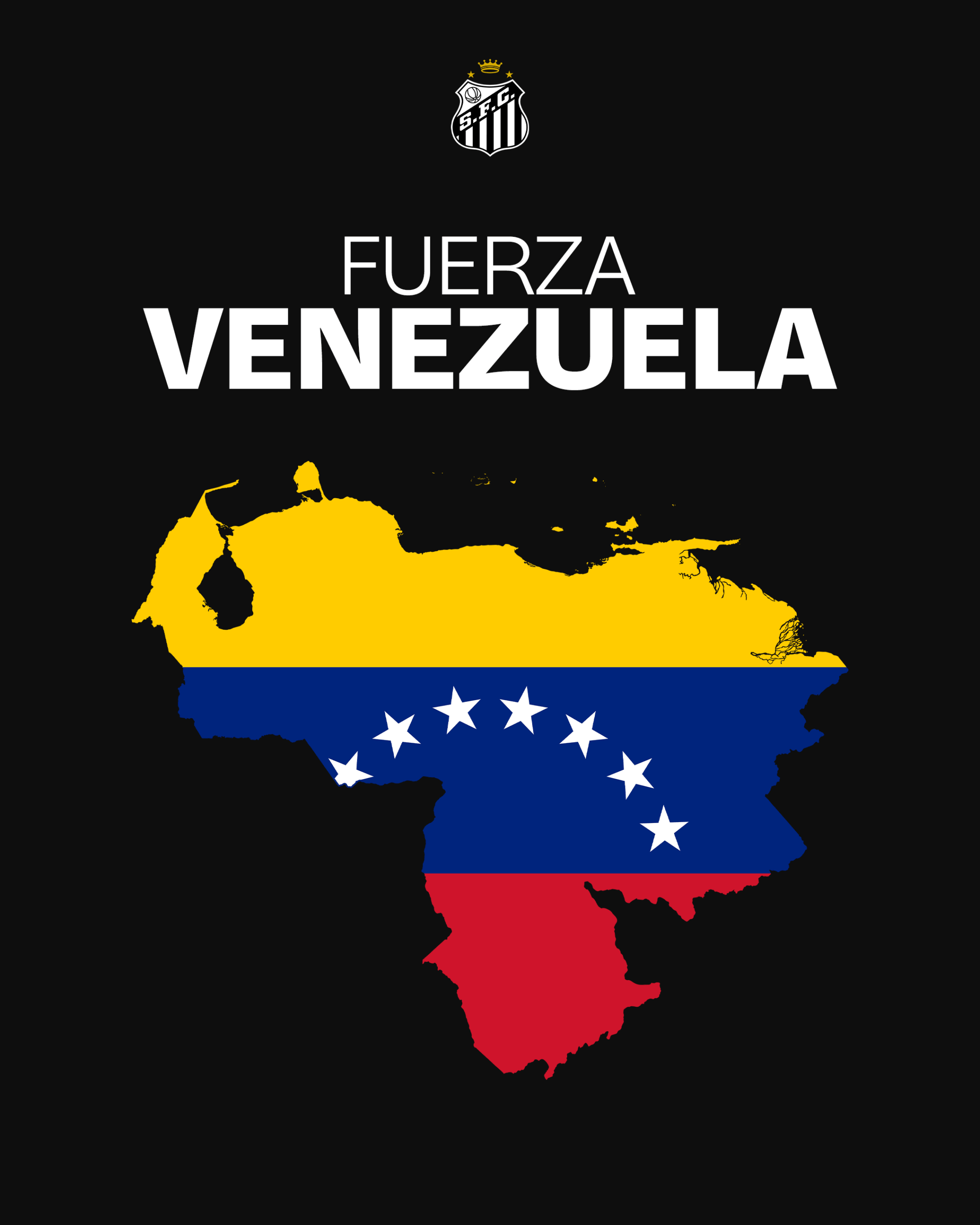 Fuerza Venezuela - Santos Futebol Clube 17