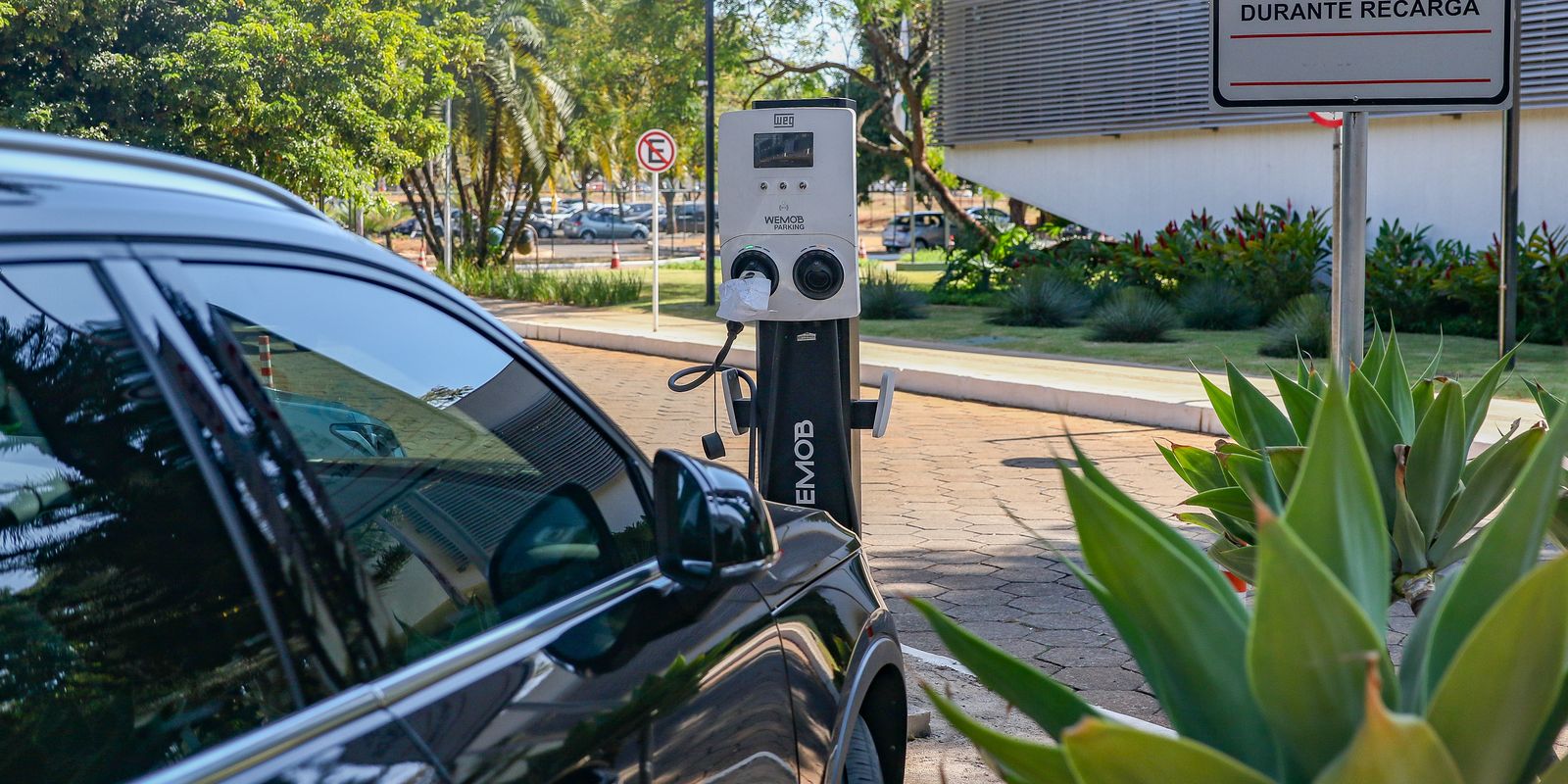 Governo mantém elevação de tarifas a carro elétrico e renova cota zero 10