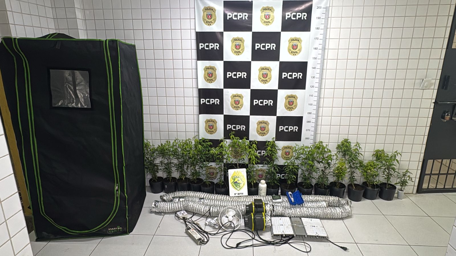 PM fecha laboratório de cultivo de maconha em Matinhos 13