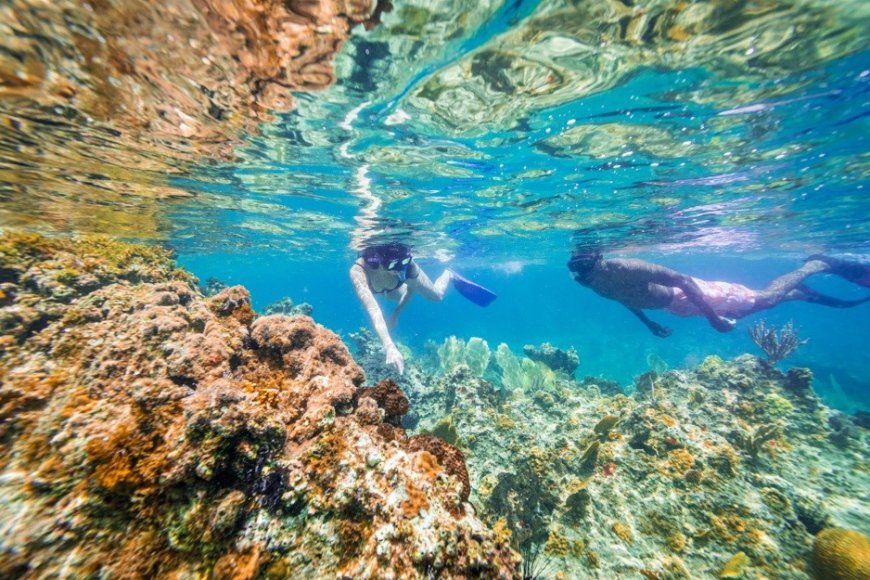 5 experiências para se apaixonar por Anguilla  