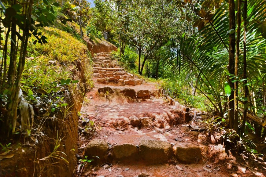 Ecoturismo em Seychelles: Descubra a natureza em suas trilhas ecológicas