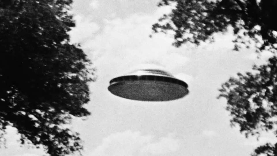 O que fazer se você ficar de cara com um alienígena? 7