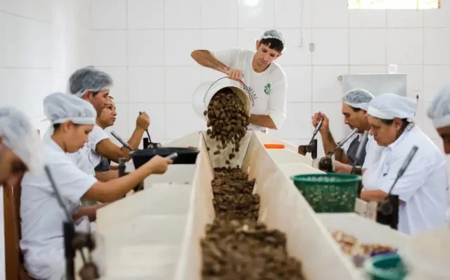 Cooperativismo: o que é e qual o seu papel na economia brasileira 7