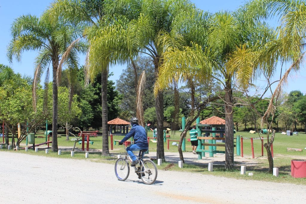 Parques estaduais de SP viram palco de trilhas, oficinas e brincadeiras nas férias de julho 4