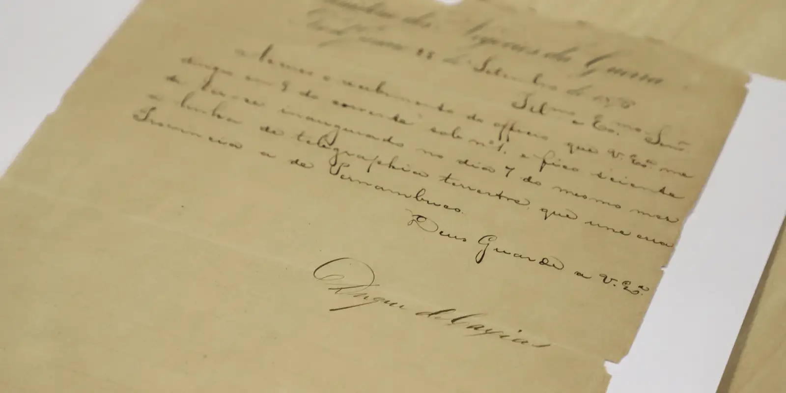 Venda ilegal de documentos históricos preocupa Arquivo Nacional 11