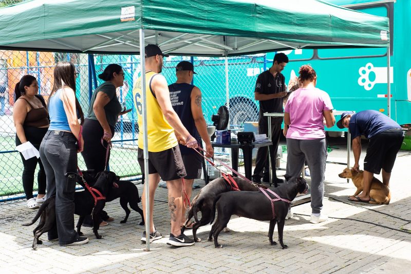 Arujá amplia ações ambientais e de proteção animal no primeiro semestre de 2026 11